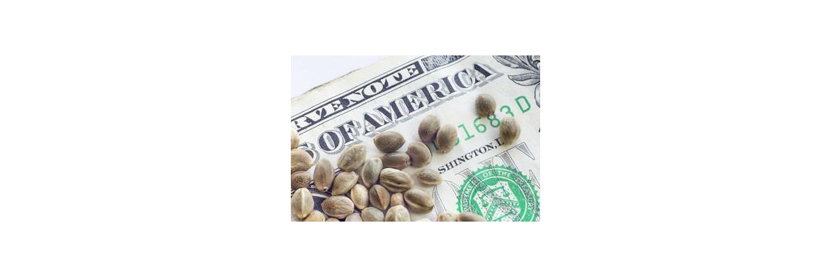 Comprar semillas de cannabis