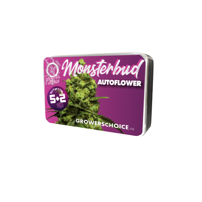 Monsterbud Autoflower