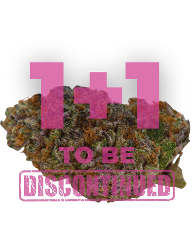 Blue Dream Sherbet Autoflower