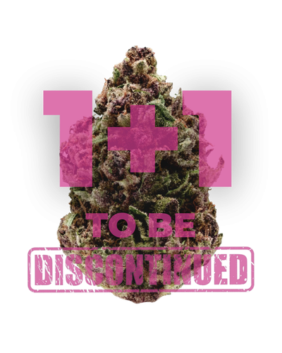 Pink magic fast version, Growerschoice feminized cannabis seeds, gefeminiseerde wietzaden, feminisierte hanfsamen, semillas feminizadas, Graines Feminisees

