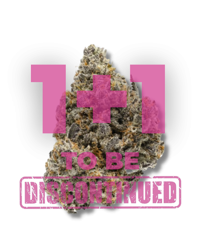 Rainbow Runtz, Growerschoice feminized cannabis seeds, gefeminiseerde wietzaden, feminisierte hanfsamen, semillas feminizadas, Graines Feminisees

