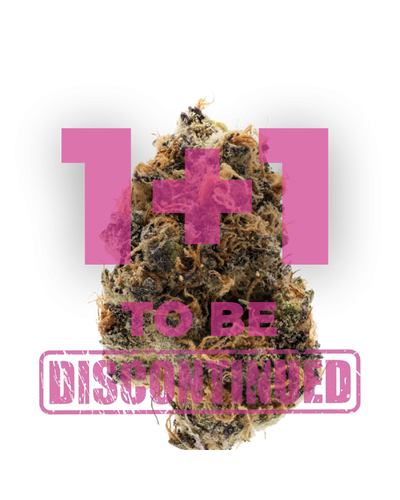 Watermelon Punch Autoflower